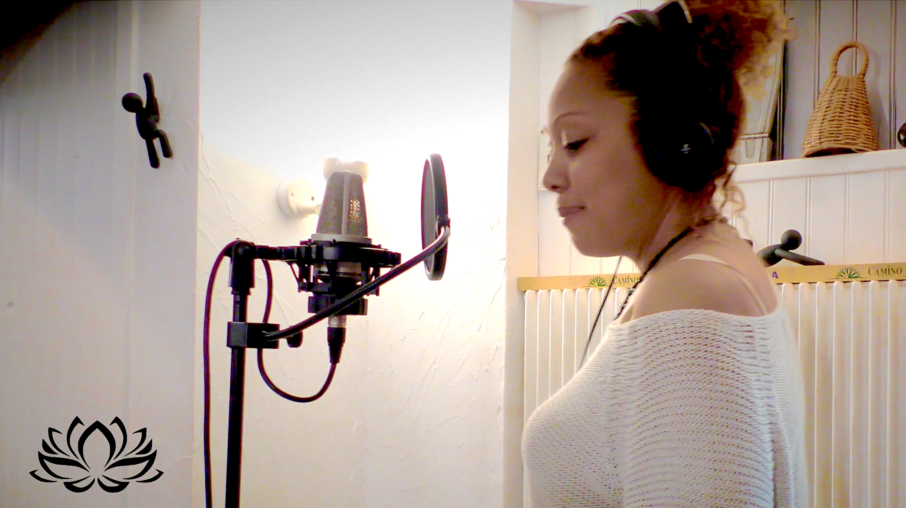 Joss DS
